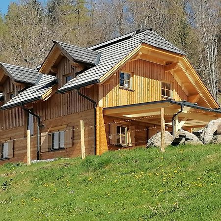 Вилла Laerchenhaus ,,Unterer Brodl" Санкт-Петер-ам-Каммерсберг Экстерьер фото
