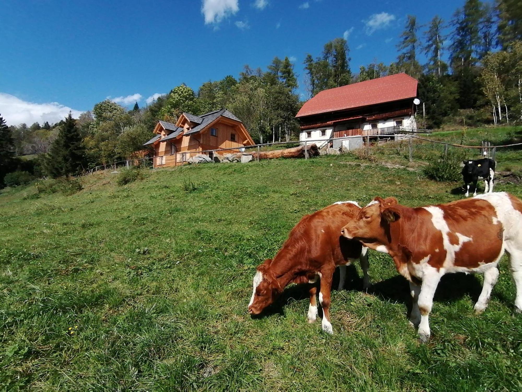 Вилла Laerchenhaus ,,Unterer Brodl" Санкт-Петер-ам-Каммерсберг Экстерьер фото