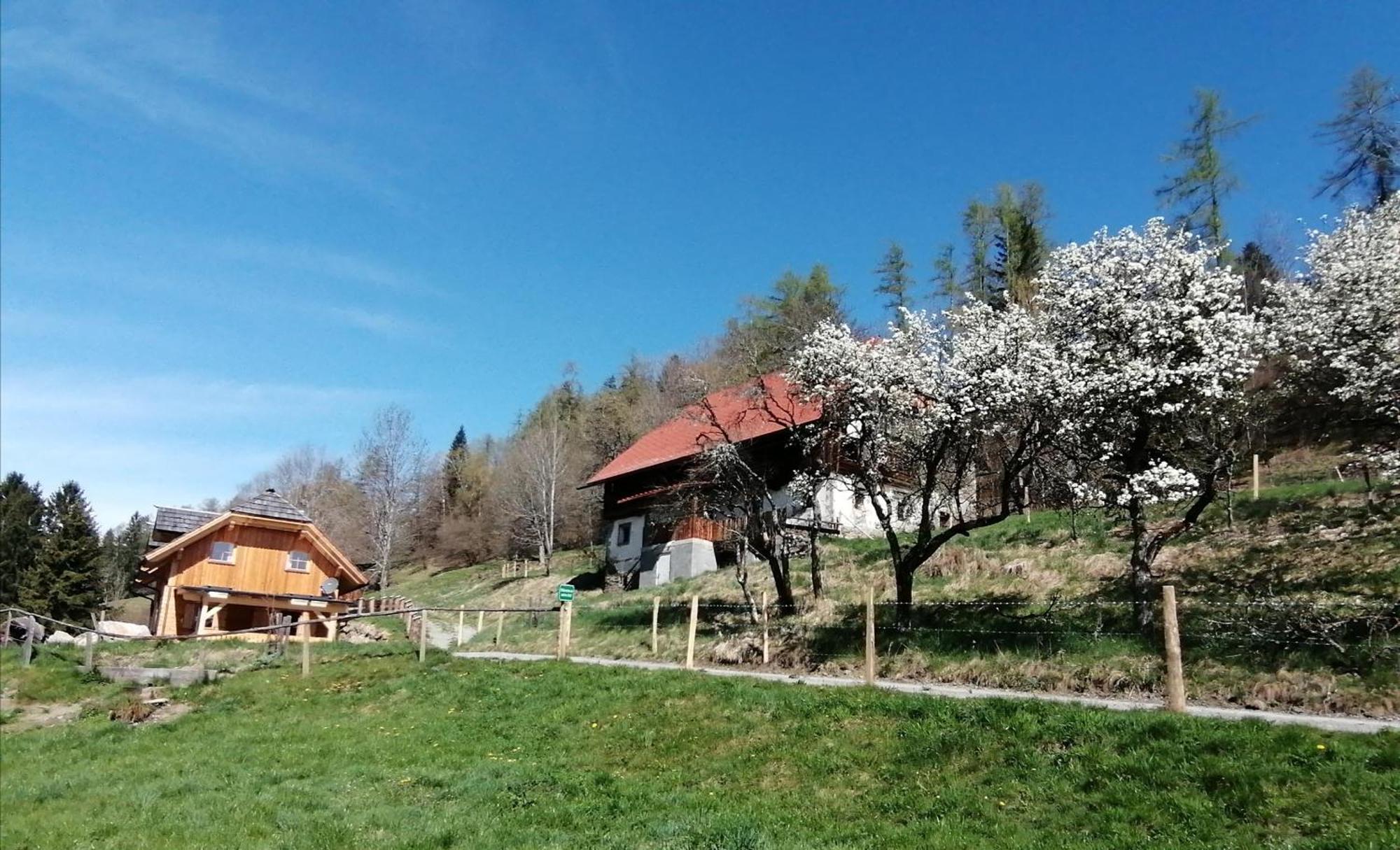 Вилла Laerchenhaus ,,Unterer Brodl" Санкт-Петер-ам-Каммерсберг Экстерьер фото