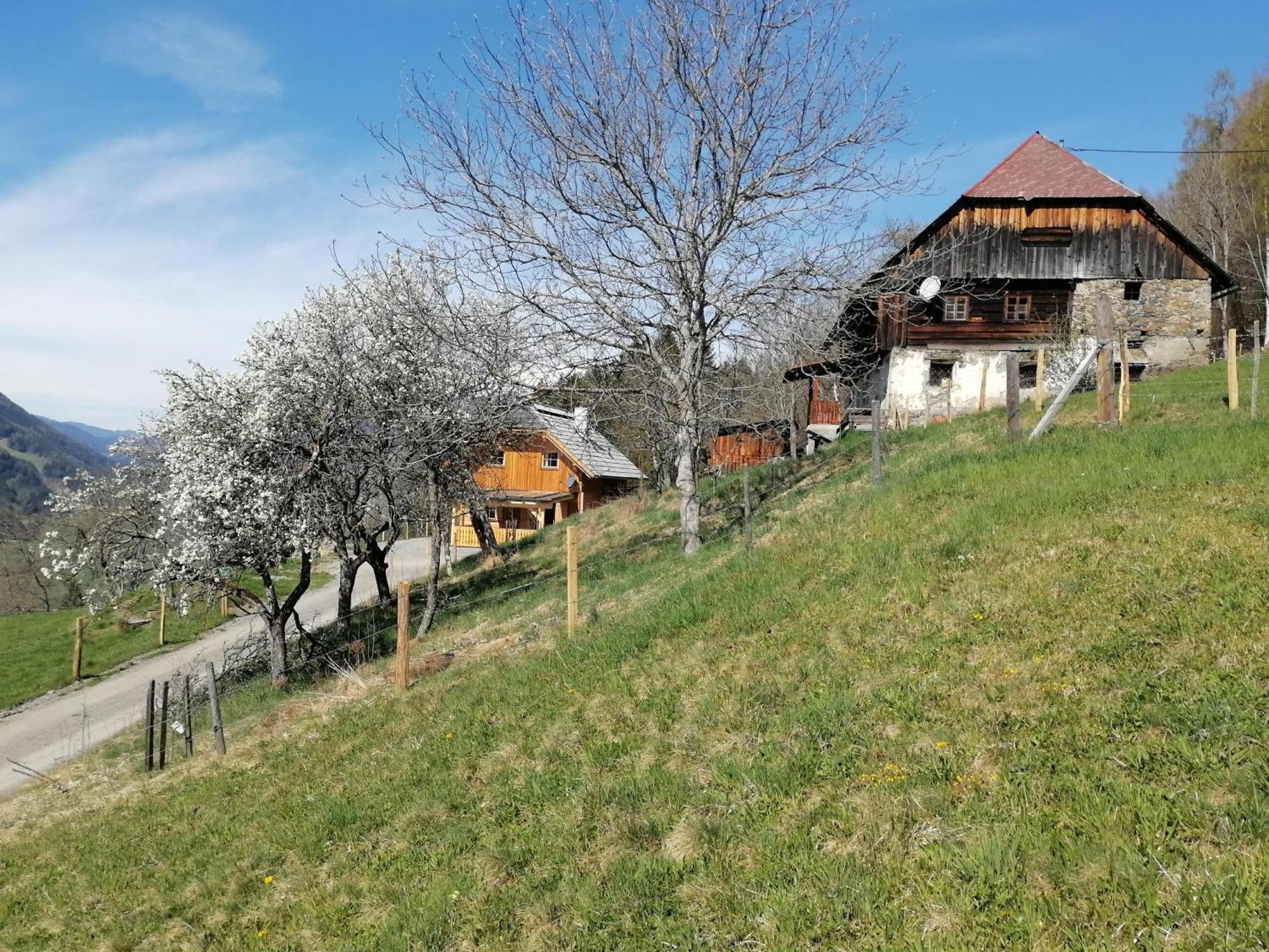 Вилла Laerchenhaus ,,Unterer Brodl" Санкт-Петер-ам-Каммерсберг Экстерьер фото