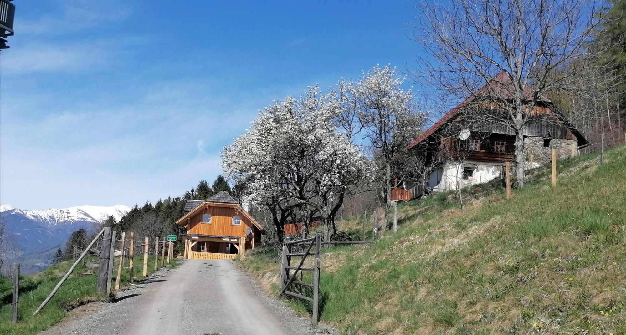 Вилла Laerchenhaus ,,Unterer Brodl" Санкт-Петер-ам-Каммерсберг Экстерьер фото