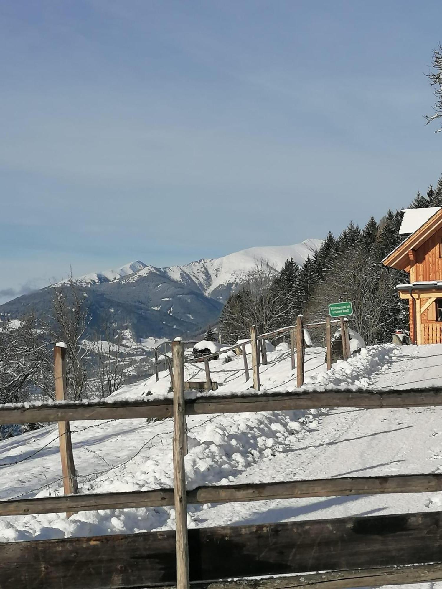 Вилла Laerchenhaus ,,Unterer Brodl" Санкт-Петер-ам-Каммерсберг Экстерьер фото
